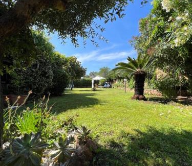 Porto San Paolo Cama Y Desayuno | Villa Acchiappasogni