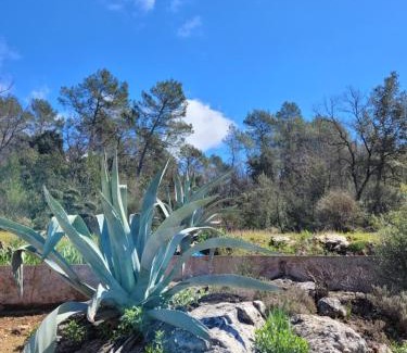 Camps-la-Source Apartamento | Villa Agave