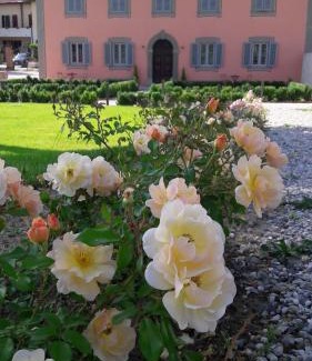 Pistoia Cama Y Desayuno | Villa Agnolaccio Residenza d'Epoca