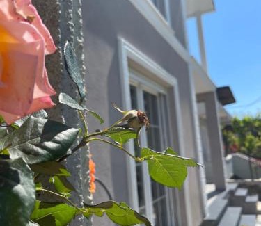 Durres Villa | Villa Ajla