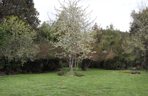 San Carlos de Bariloche Casa | Villa Amalia