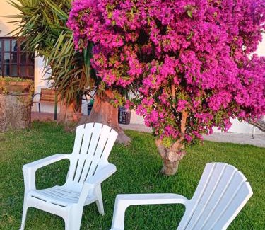 Paceco Cama Y Desayuno | villa amodeo