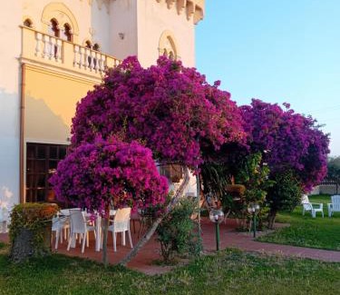 Paceco Cama Y Desayuno | villa amodeo