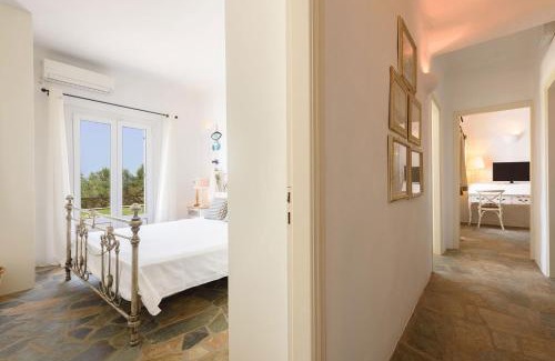 Paros Villa | Villa Apianes