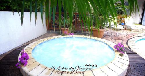 Entre-Deux Casa | Villa arbre du voyageur, 4 étoiles et 4 clévacances
