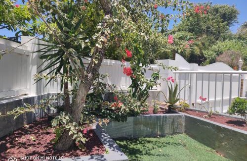 Saint-Joseph Villa | villa Areca