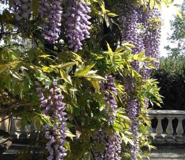 Montepulciano Cama Y Desayuno | Villa Argiano a Montepulciano