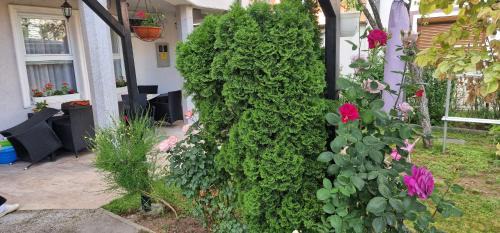 Sarajevo Apartamento | Villa ARS
