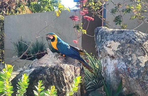 Alto Paraiso de Goias Cabina | Villa Azaleia