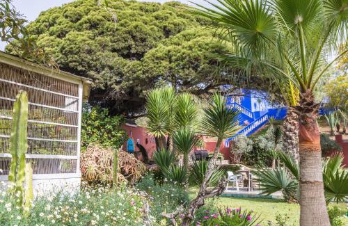 Essaouira Casa | Villa Beldi