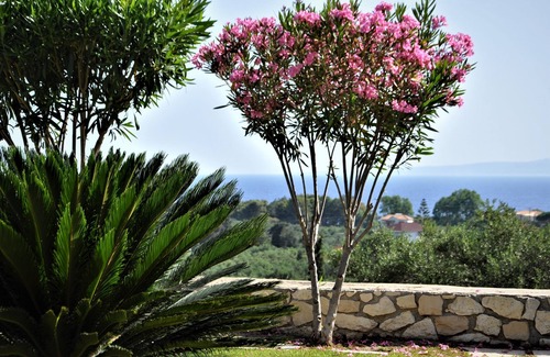 Ano Vasilikos Apartamento | Villa Belvedere Zakynthos