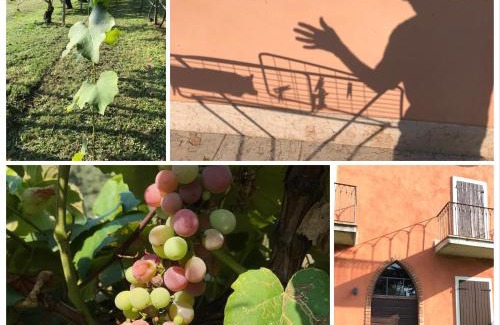 Colà Di Lazise Casa | Villa Benciolini