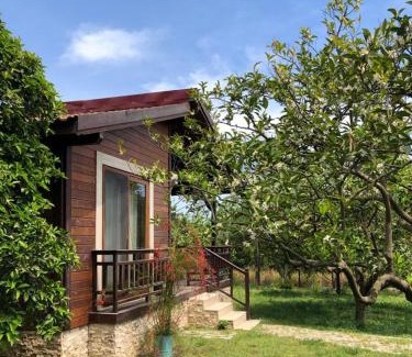 Cirali Complejo | Villa Bilge