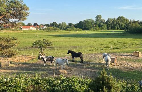 Wiek Apartamento | Villa Boddenblick