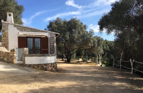 Palau Casa | Villa Bouganville