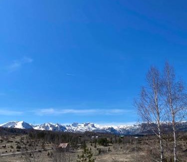Zabljak Apartamento | Villa Breza