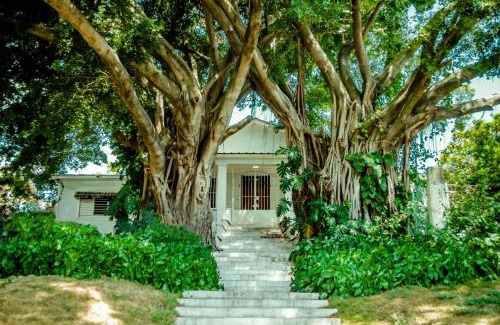 Ensanche Miramar Cama Y Desayuno | Villa Carolina Bed and Breakfast