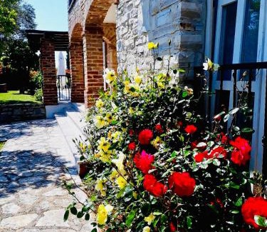 Kanfanar Villa | Villa Camelina