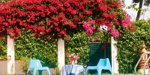 Fonte de Sesimbra Casa | Villa Canto da Lua