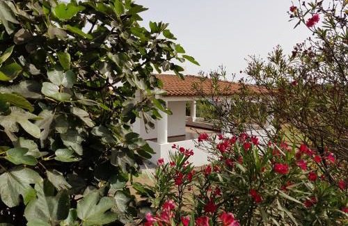 Vulcano Casa | Villa Capo Grillo Cottage