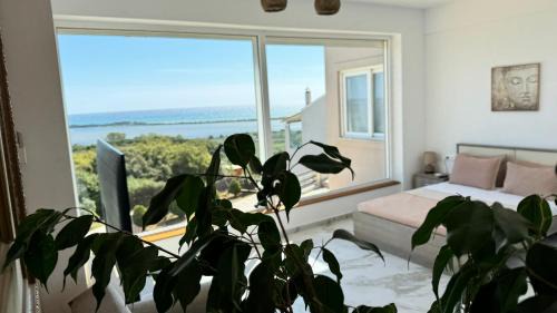 Dafnata Villa | Villa castros delmare