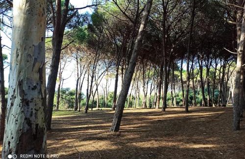 Maierato Chalet De Esquí | Villa chalet sul lago Angitola