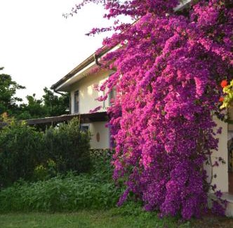Fara in Sabina Apartamento | Villa Collebelvedere - Near Rome with Home Restaurant