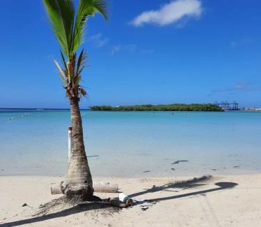 Boca Chica Apartamento | VILLA CON PISCINA en los jardines Boca Chica