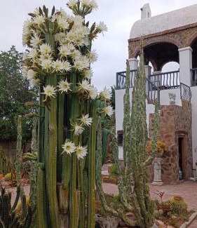 Beaufort West Casa | Villa Contessa