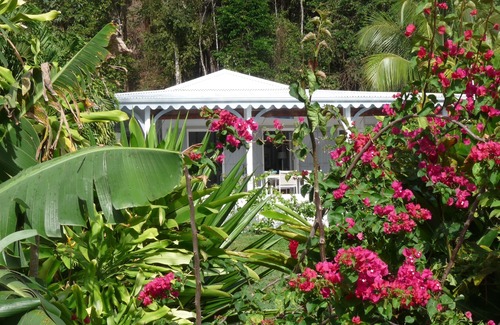 Deshaies Casa | Villa Creole piscina con vistas al mar se elevó la cabaña