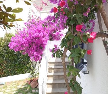 Sithonia Casa | Villa Danai
