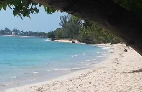 Albion Villa | Villa de standing proche de la plage