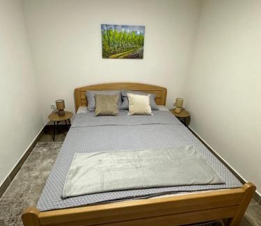 Babanovac Apartamento | Villa Dejana Vlašić