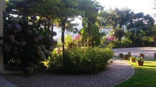 Golden Beach Apartamento | Villa Dimitra