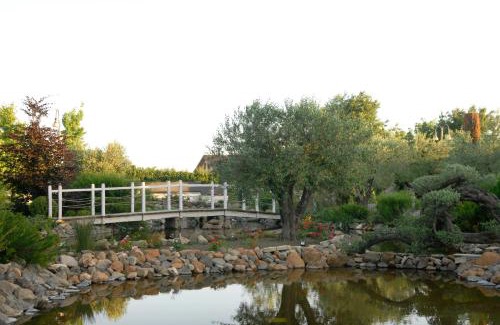 Palestrina Cama Y Desayuno | Villa Domus Petra