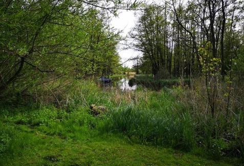 Gutzkow Apartamento | Villa Eden Peene