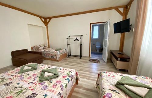 Velyka Byyhan Casa | Villa “Eleon”