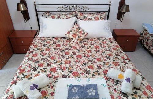 Aristotelis Villa | Villa Elli