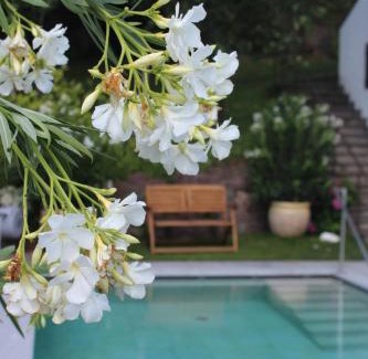 Tirolo Apartamento | Villa Falkner