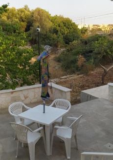 Polignano a Mare Apartamento | Villa Francesca Appartamento Meraviglioso