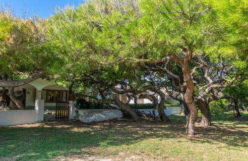 Muro Chalet De Esquí | Villa Franciscus