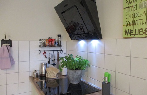 Leubnitz-Neuostra Apartamento | VILLA FREIA in DRESDEN - close to the center - romantic holiday apartment