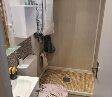 Mont-Dore Apartamento | Villa Géraniums apt 4