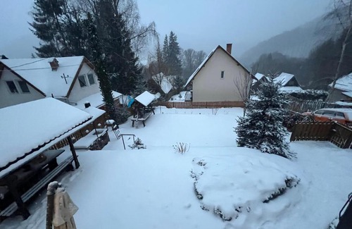 Baile Balvanyos Villa | Villa Garden