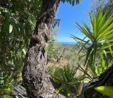 Vico del Gargano Apartamento | Villa Gargano