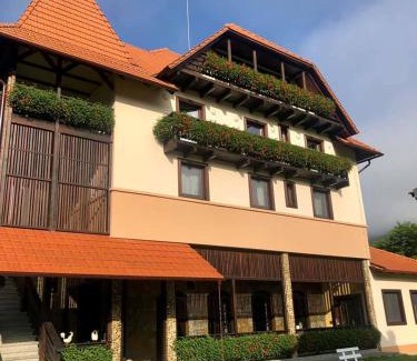 Salciua de Jos Casa | VILLA GHERMAN