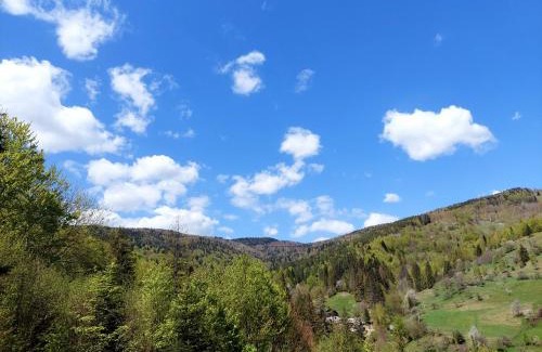 Yaremche Apartamento | Villa Gold