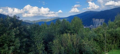 Yaremche Apartamento | Villa Gold