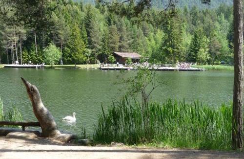 Siusi Apartamento | Villa Grünewald