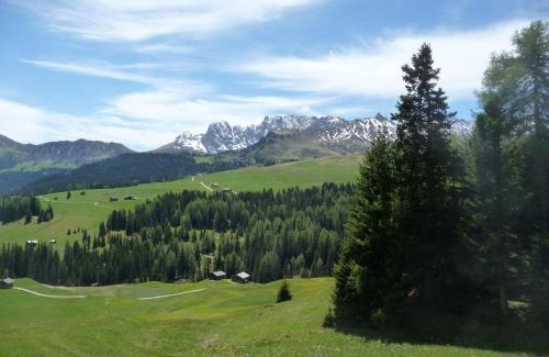 Siusi Apartamento | Villa Grünewald